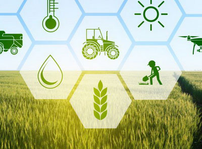 Agricalture & Animal Husbandry